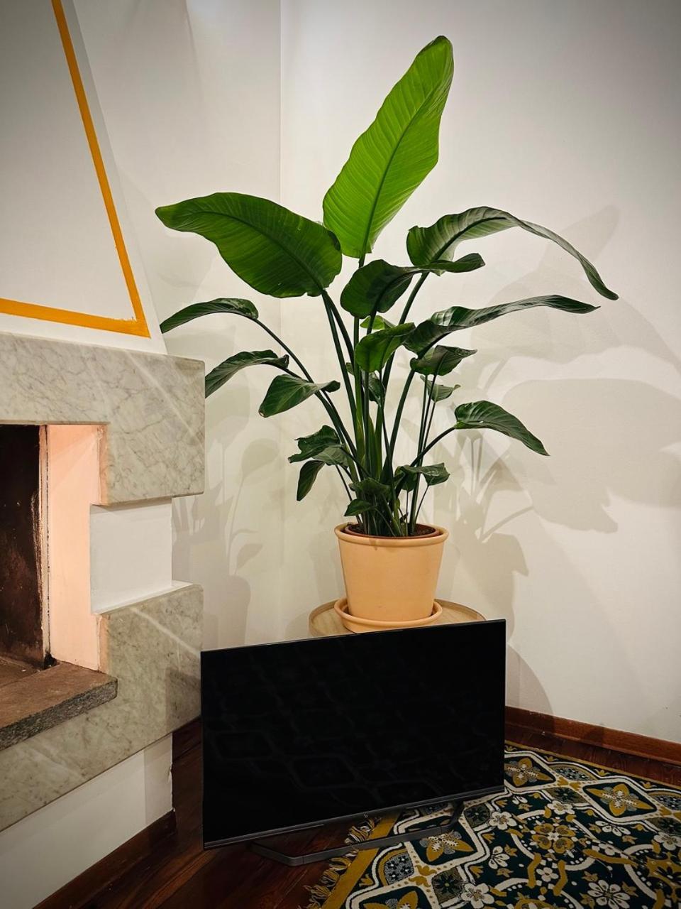 Wow House In Torino Apartment ภายนอก รูปภาพ